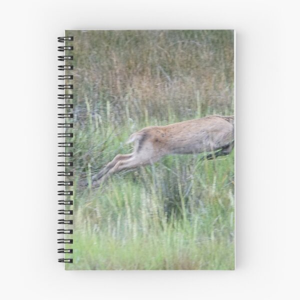 Item preview, Young Sika Deer designed and sold by MendipBlue.
