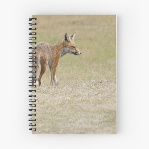 Item preview, Red Fox designed and sold by MendipBlue.