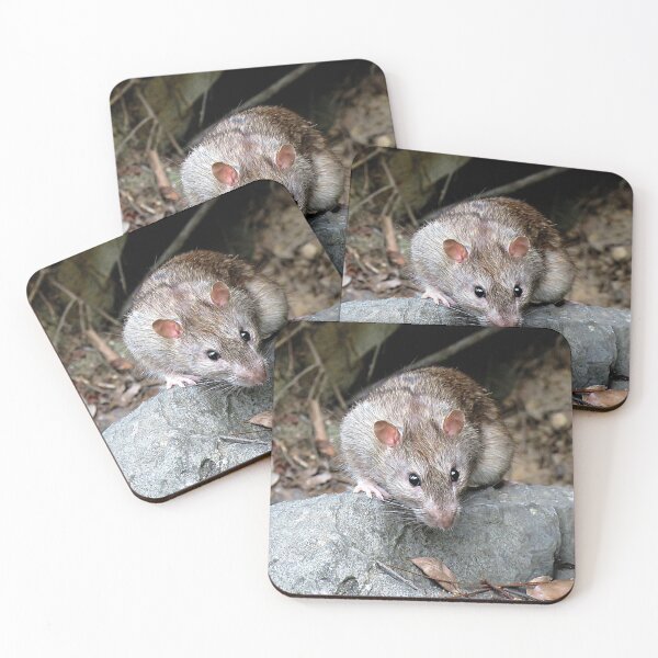Item preview, Rat at the park designed and sold by Linda Walsh.