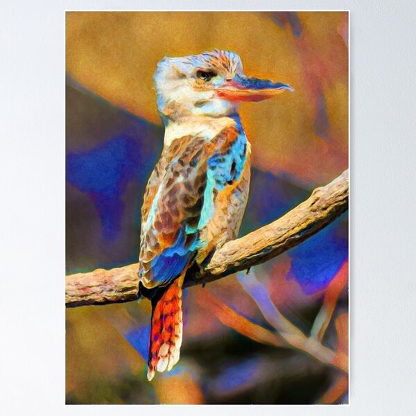 Item preview, Kookaburra Dream | Painting  designed and sold by Christopher Taylor.