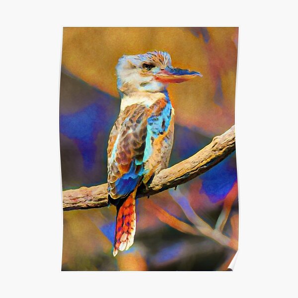 Kookaburra Dream | Painting Poster