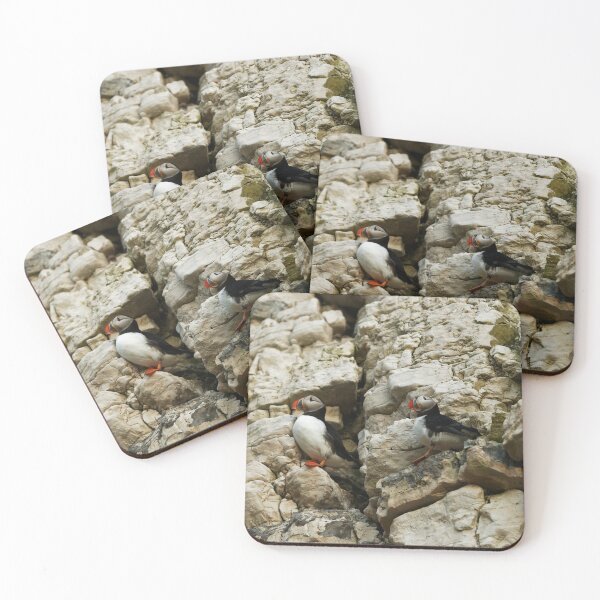 Item preview, CLIFF PUFFINS  designed and sold by andrewsaxton.
