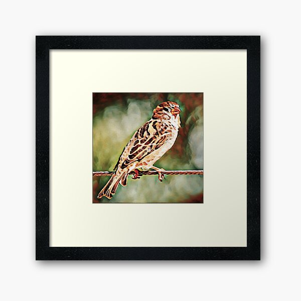 Rock Sparrow Glory | Painting Framed Art Print