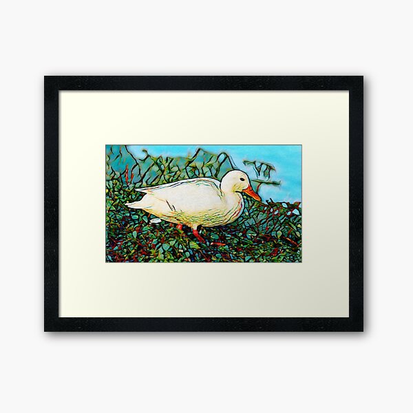 Mallard | painting Framed Art Print