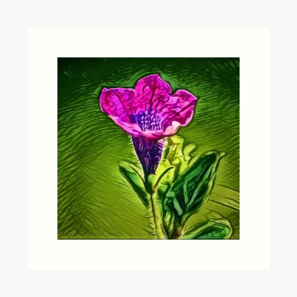 Regalos y productos: Violeta De Genciana | Redbubble