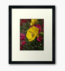 flowers Framed Print