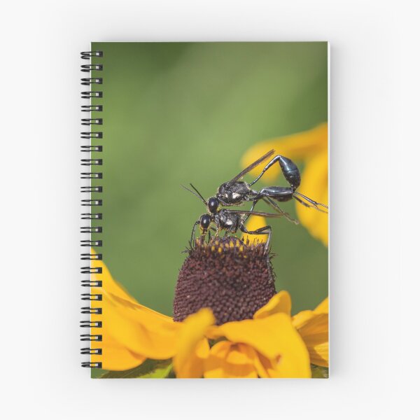 Item preview, Thread Waisted Wasp 2019-2 designed and sold by Thomasyoung.