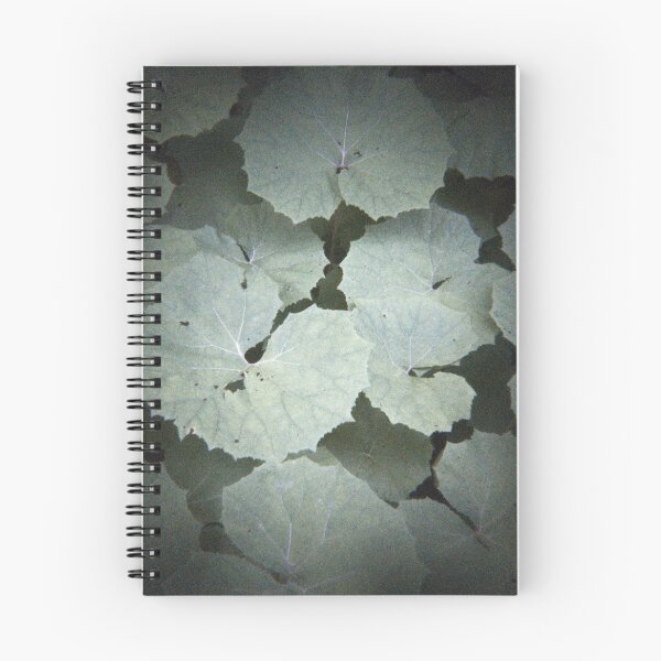 Item preview, 2015 Farfaccio Bianco designed and sold by robertoferrero.