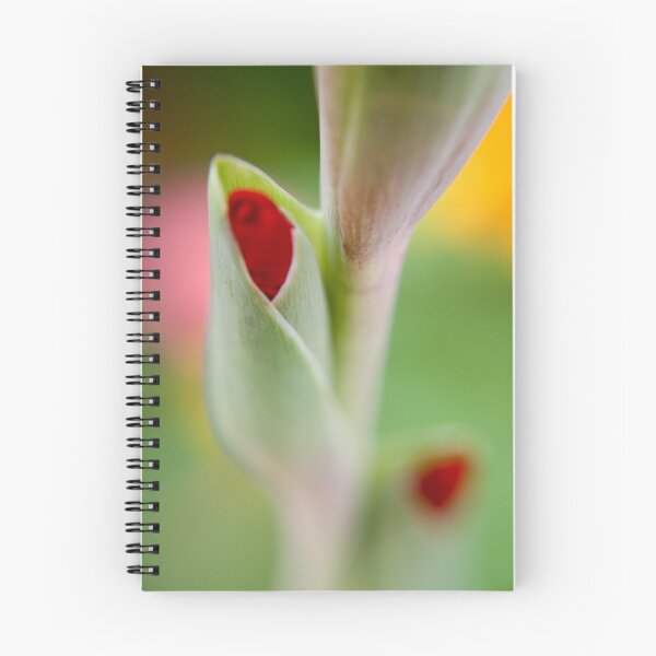 Item preview, red budding flower designed and sold by Rachel Kelso.