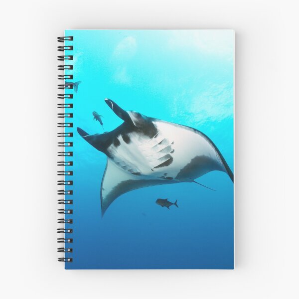 Item preview, Giant manta ray in the blue designed and sold by Natalia Pryanishnikova.