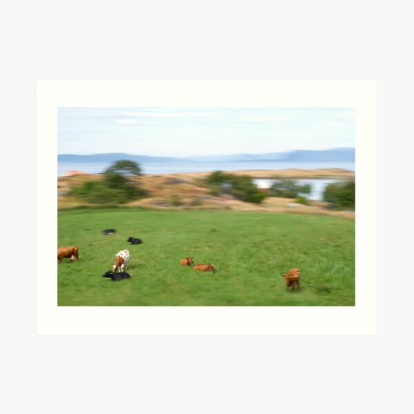Rennesøy | Forlatt øyeblikk #9 Art Print