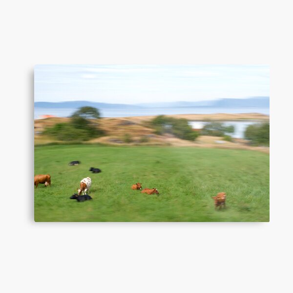 Rennesøy | Forlatt øyeblikk #9 Metal Print