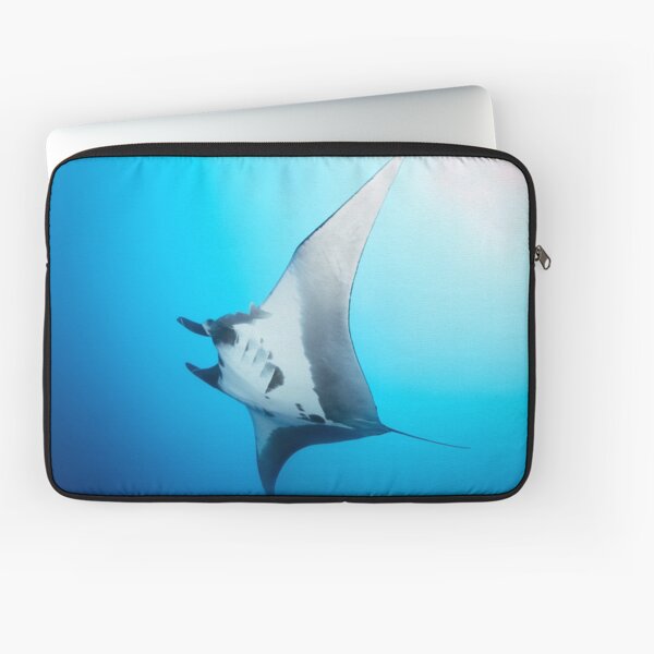 Vista previa del artículo con la obra «Manta raya gigante en el azul», diseñado y vendido por Natalia Pryanishnikova.