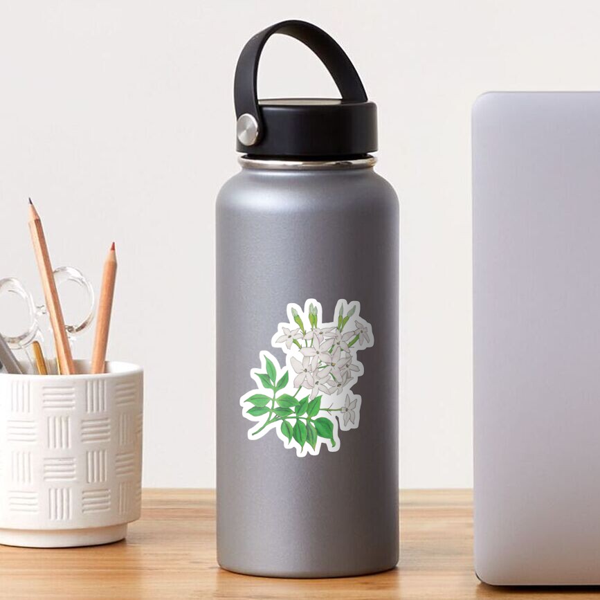 Jasmine (Jasminum officinale) Sticker