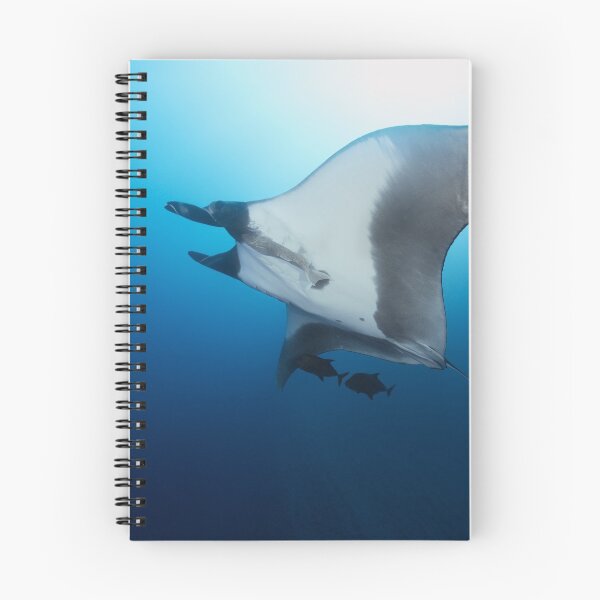 Item preview, Giant manta ray in the blue designed and sold by Natalia Pryanishnikova.