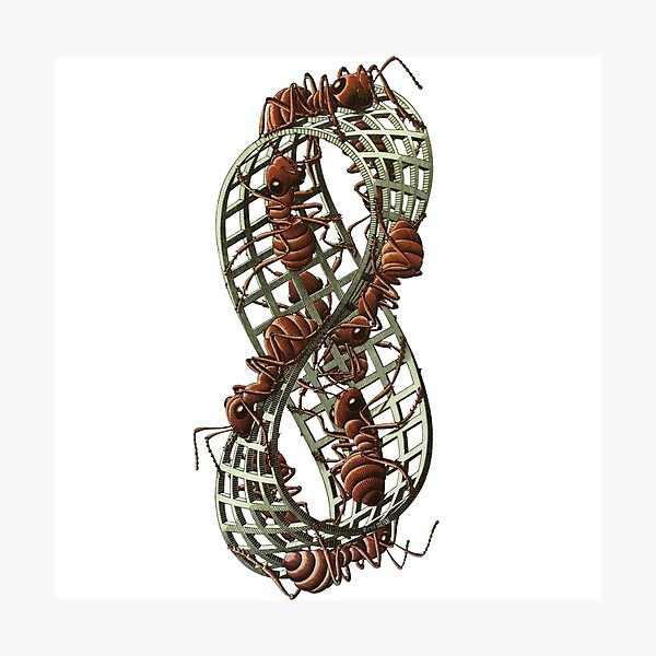 Mobius Strip II - Maurits Cornelis Escher Photographic Print