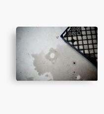 signs of spring Canvas Print