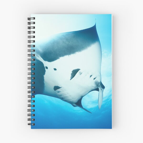 Item preview, Giant manta ray in the blue designed and sold by Natalia Pryanishnikova.