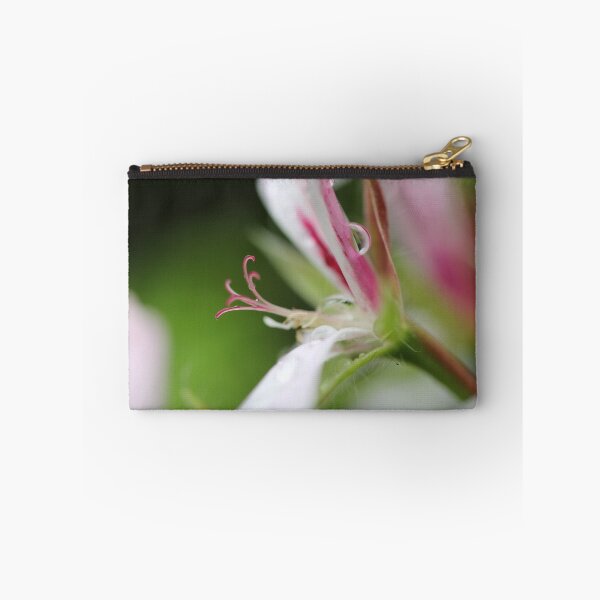 Item preview, Pelargonium designed and sold by ASTRID EWING.