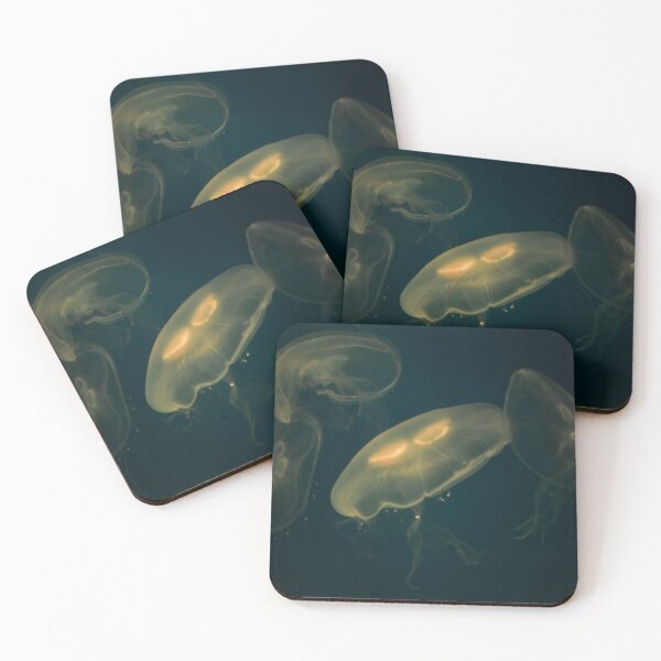 Item preview, Aurelia Aurita. Vladivostok Aquarium, Russia designed and sold by Igor Pozdnyakov.