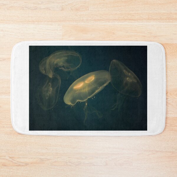 Item preview, Aurelia Aurita. Vladivostok Aquarium, Russia designed and sold by Igor Pozdnyakov.