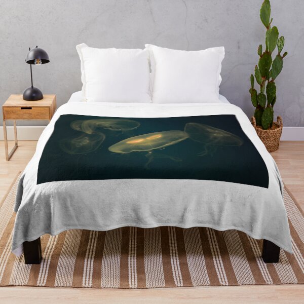 Item preview, Aurelia Aurita. Vladivostok Aquarium, Russia designed and sold by Igor Pozdnyakov.