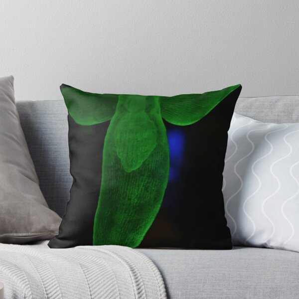 Item preview, Cilone Limacina (Sea Angel). Vladivostok Aquarium, Russia designed and sold by Igor Pozdnyakov.