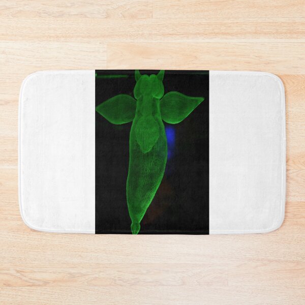 Item preview, Cilone Limacina (Sea Angel). Vladivostok Aquarium, Russia designed and sold by Igor Pozdnyakov.