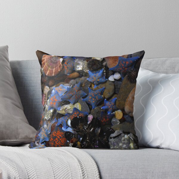 Item preview, Sea Bottom. Vladivostok Aquarium, Russia designed and sold by Igor Pozdnyakov.