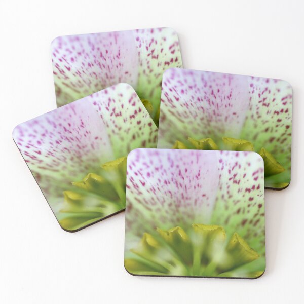 Item preview, The Heart Of A Hellebore designed and sold by sarah ward.