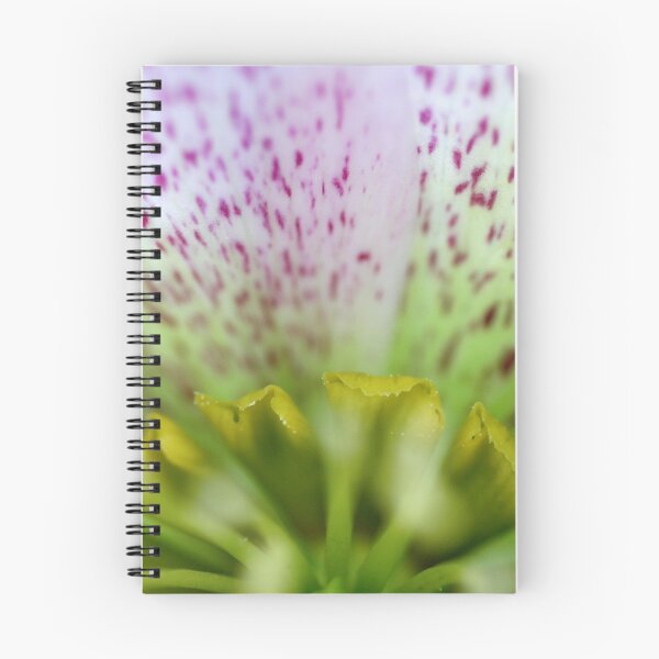 Item preview, The Heart Of A Hellebore designed and sold by sarah ward.
