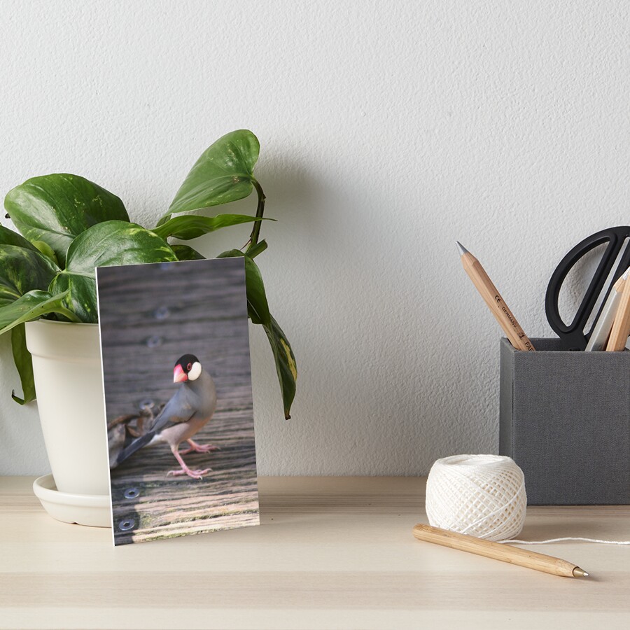 Item preview, Art Board Print designed and sold by sarahward.