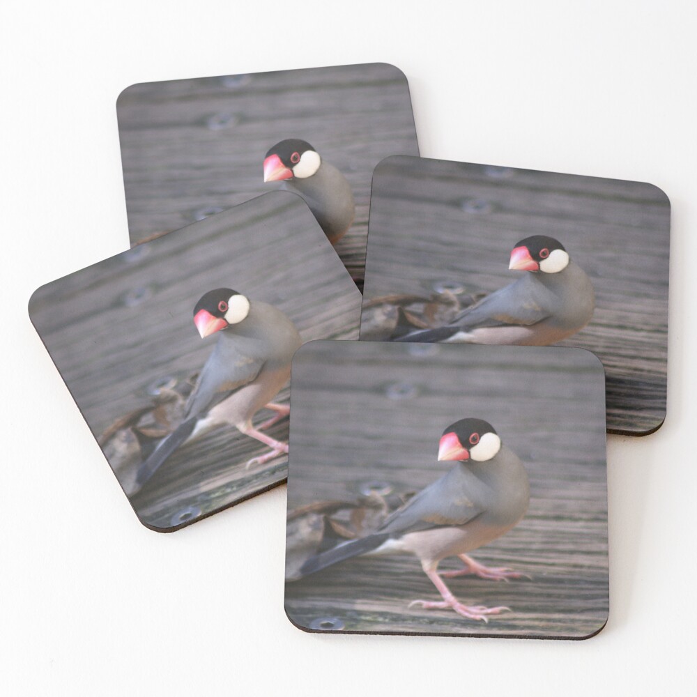 Item preview, Coasters (Set of 4) designed and sold by sarahward.