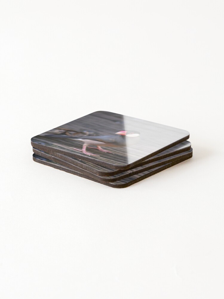 Thumbnail 4 of 5, Coasters (Set of 4), Java Sparrow designed and sold by sarahward.