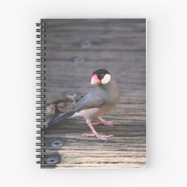 Item preview, Java Sparrow designed and sold by sarah ward.