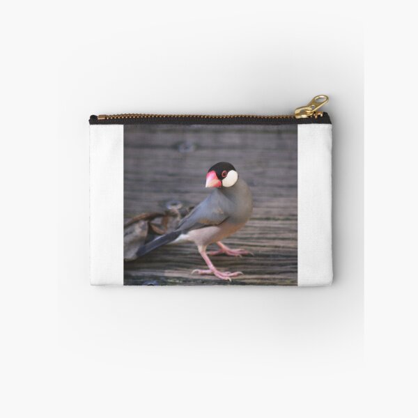 Item preview, Java Sparrow designed and sold by sarah ward.