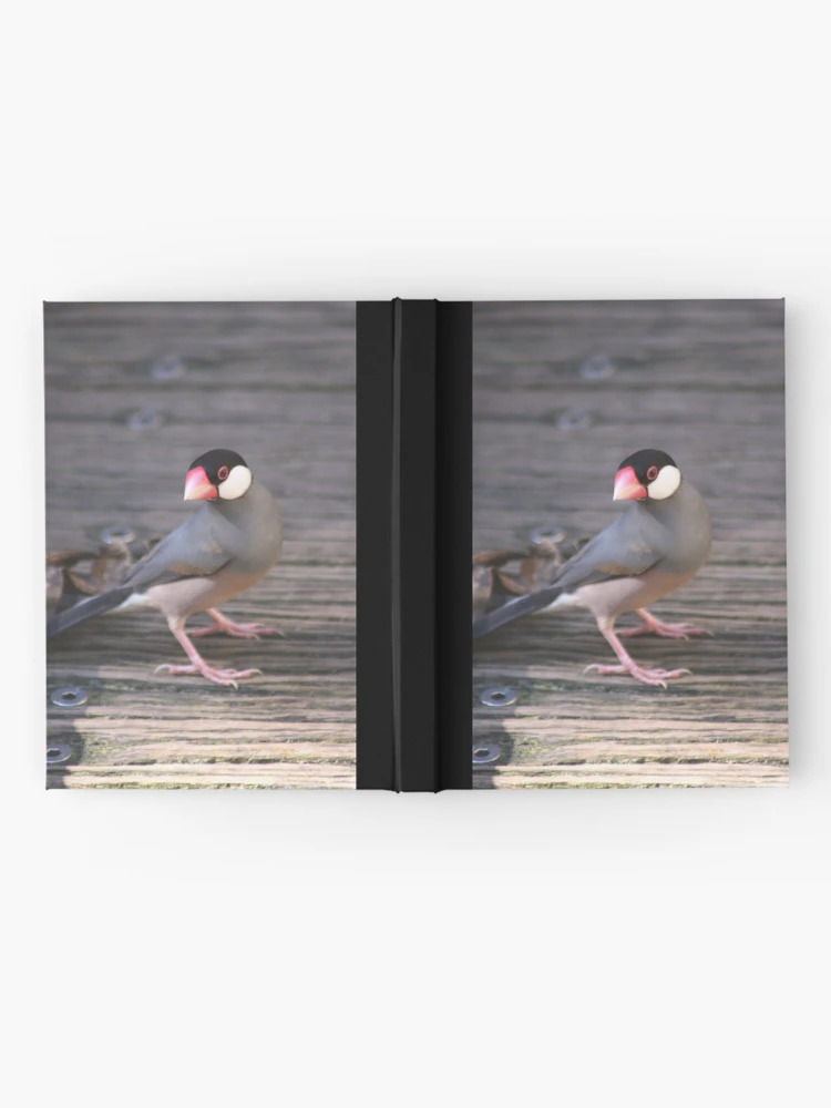 Thumbnail 2 of 3, Journal, Java Sparrow designed and sold by sarah ward.