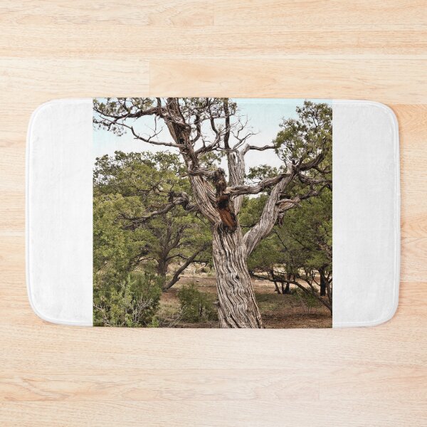 Item preview, Twisted Juniper - Great Sand Dune National Park - Colorado designed and sold by jtrommer.