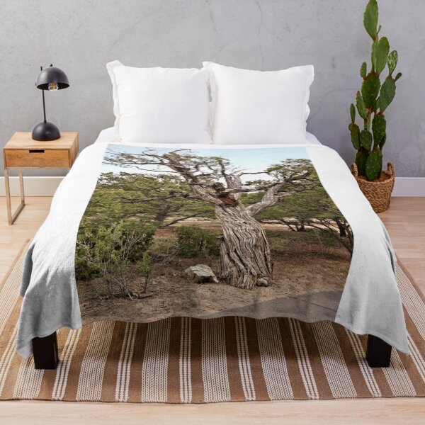 Item preview, Twisted Juniper - Great Sand Dune National Park - Colorado designed and sold by jtrommer.