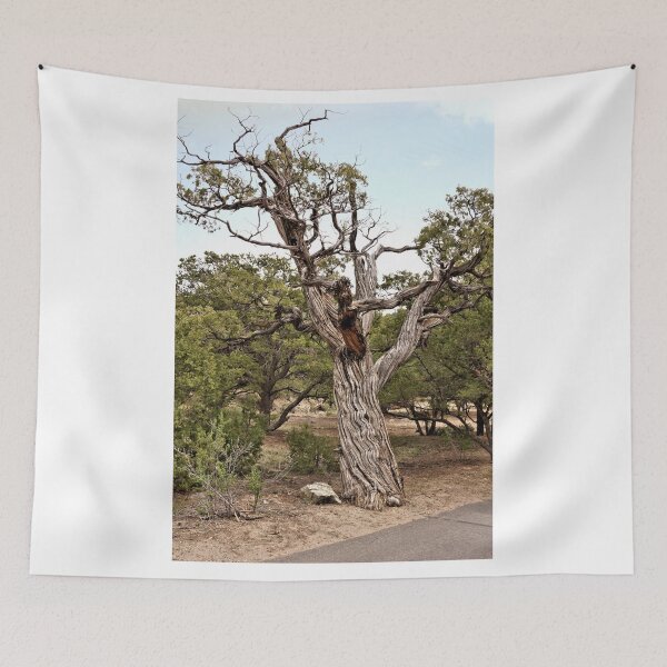 Item preview, Twisted Juniper - Great Sand Dune National Park - Colorado designed and sold by jtrommer.
