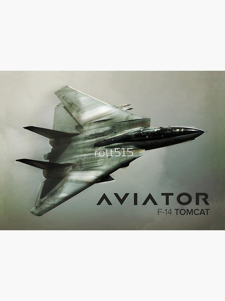 F14 Tomcat : r/MilitaryAviation