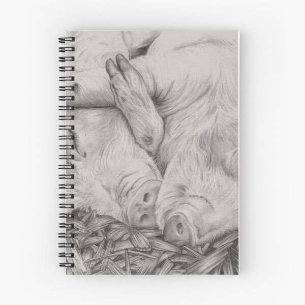 Item preview, Piglets snoozing drawing designed and sold by Sion Walker.