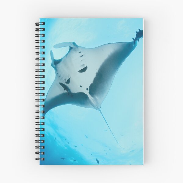 Item preview, Giant manta ray in the blue designed and sold by Natalia Pryanishnikova.