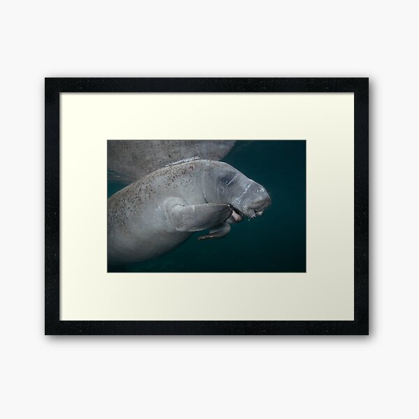 Need a toothpick Framed Art Print