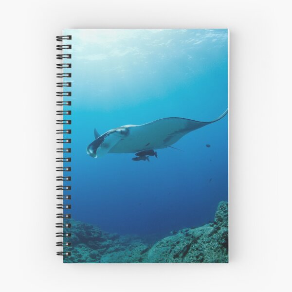 Item preview, Giant manta ray in the blue designed and sold by Natalia Pryanishnikova.