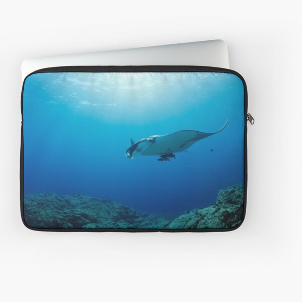 Vista previa del artículo con la obra «Manta raya gigante en el azul», diseñado y vendido por Natalia Pryanishnikova.