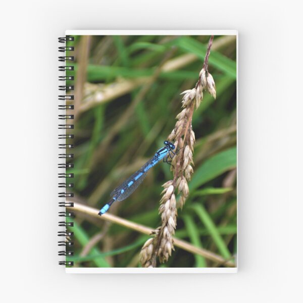 Item preview, Mayfly designed and sold by shakey.