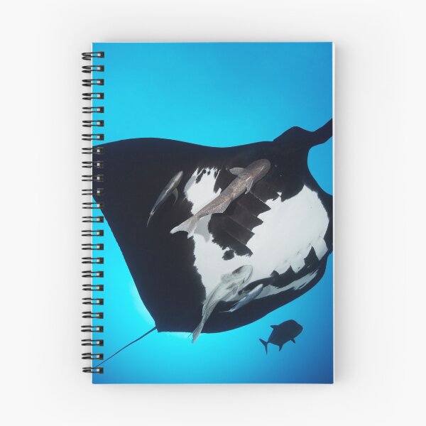 Item preview, Giant manta ray in the blue designed and sold by Natalia Pryanishnikova.