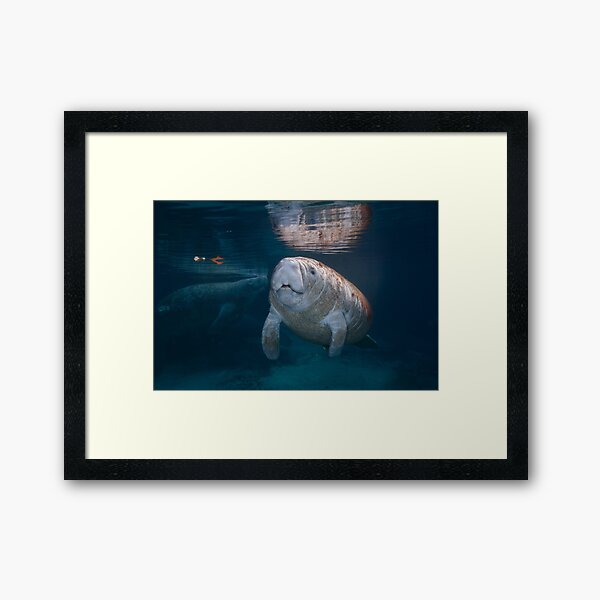 Divine Baby Framed Art Print