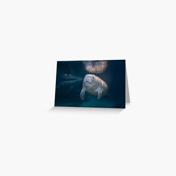 Divine Baby Greeting Card